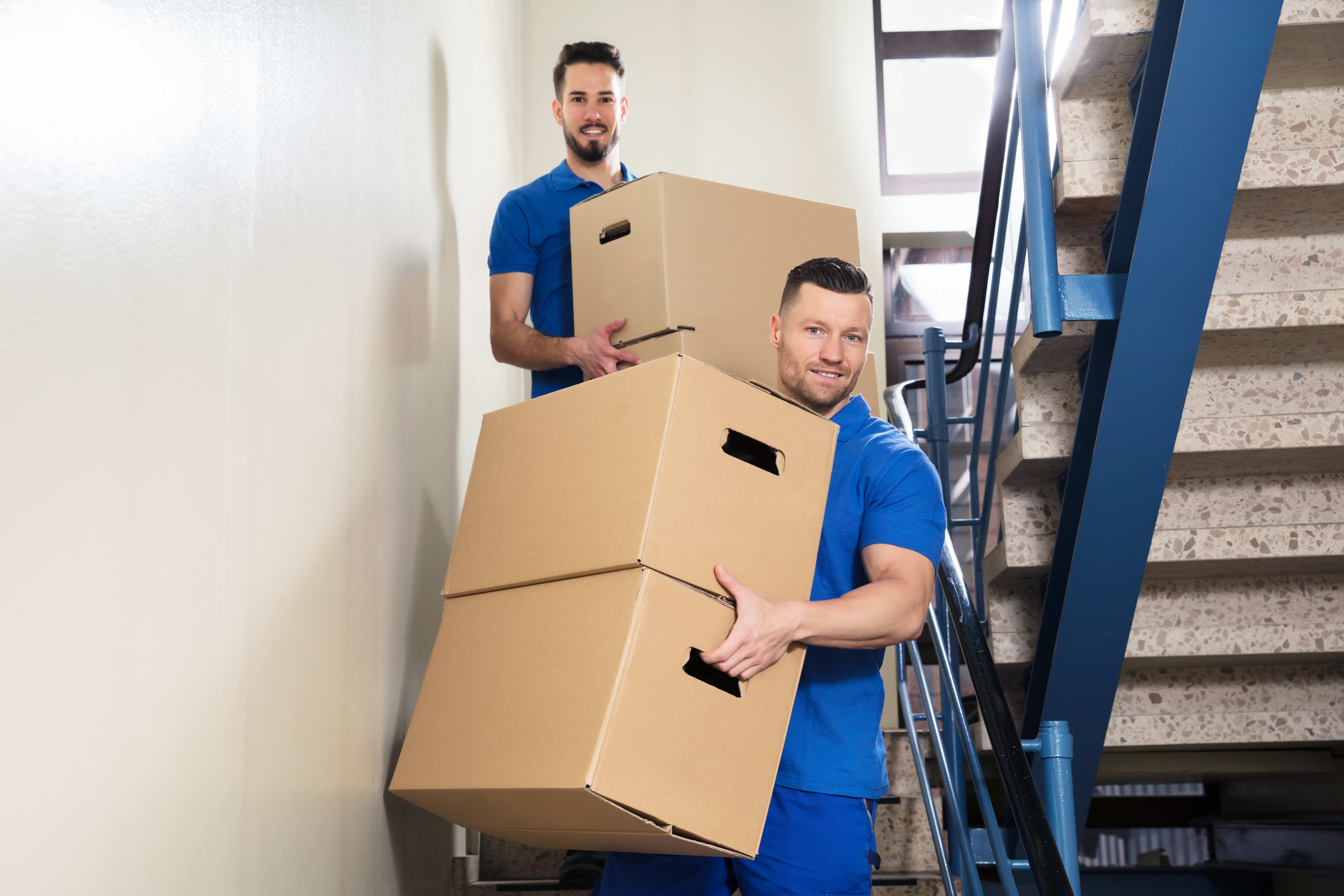 find professional movers