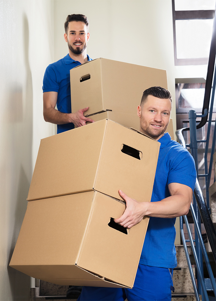 best moving companies radnor township